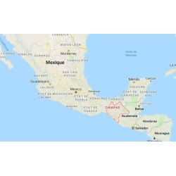 Décaféine arabica Mexique organique
