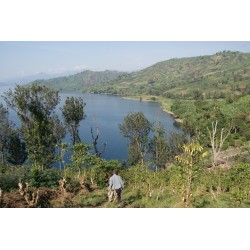 Kivu du Congo