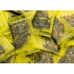 Thé glacé Chaï 6 sachets cristal