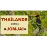 JOMJAI café de Thaïlande