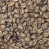 Décaféine arabica Mexique organique