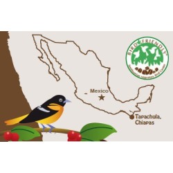 Mexique Tapachula