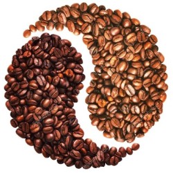 Maxi découverte de café