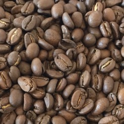 NICARAGUA  organique