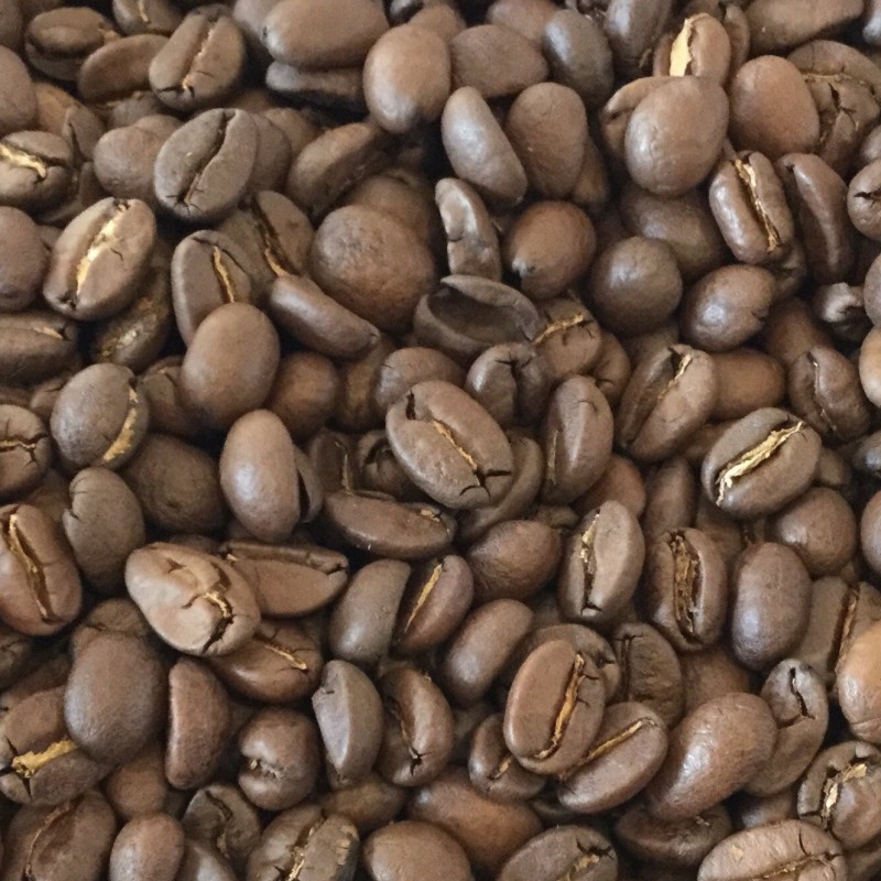 NICARAGUA  organique