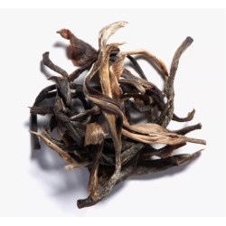 Pu Erh Pasha Big Tree
