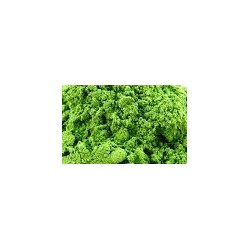 Matcha 50g Bio