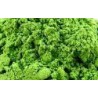Matcha 50g Bio
