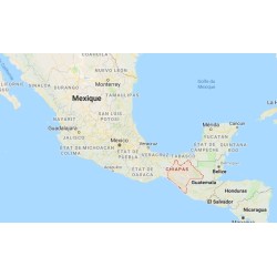 Décaféine arabica Mexique