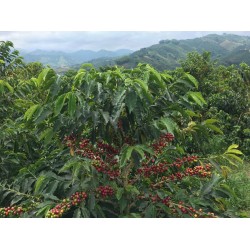 Mélange bio D'ici