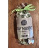Capsules cap Mundo Ebene 25 capsules