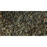 Darjeeling FTGFOP BIO