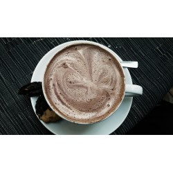 cuillère chocolat chaud CLUIZEL - chocolat noir
