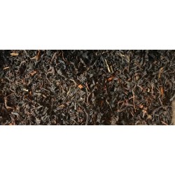 Ceylan Pettiagalla Grand Jardin